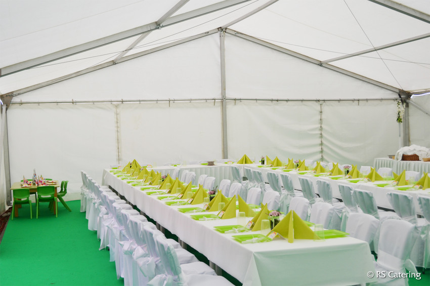 party-stany-1409482863